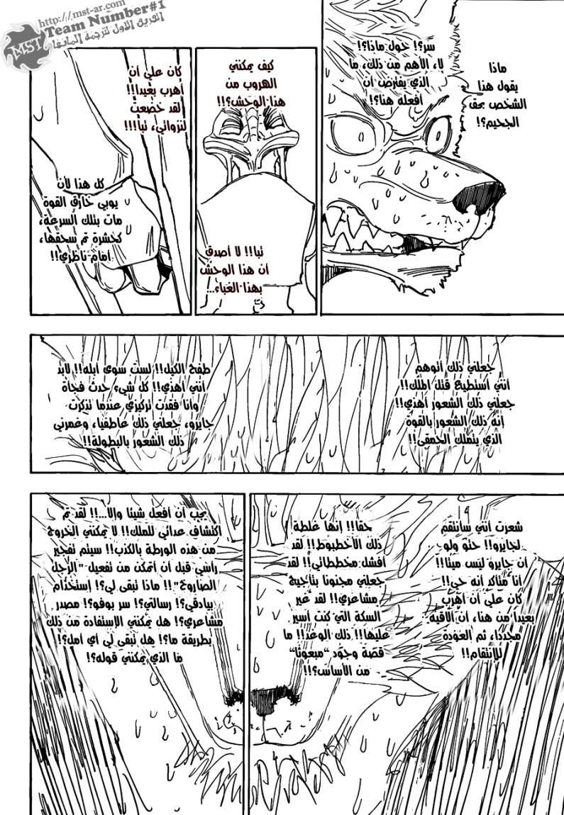 Hunter x Hunter: Chapter 312 - Page 14