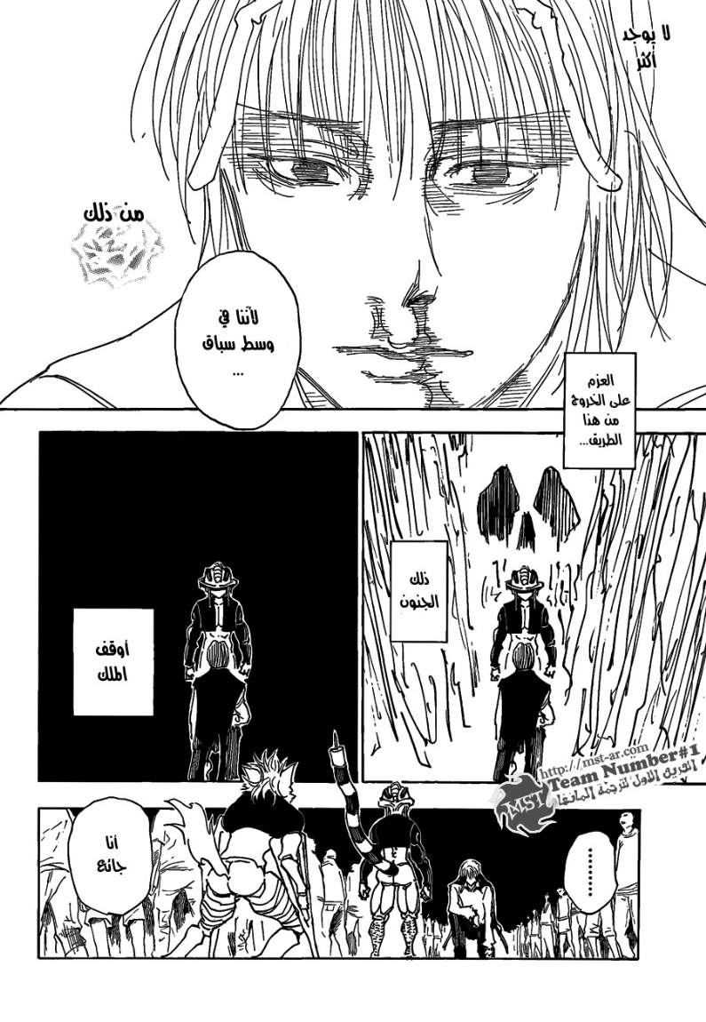 Hunter x Hunter: Chapter 312 - Page 18