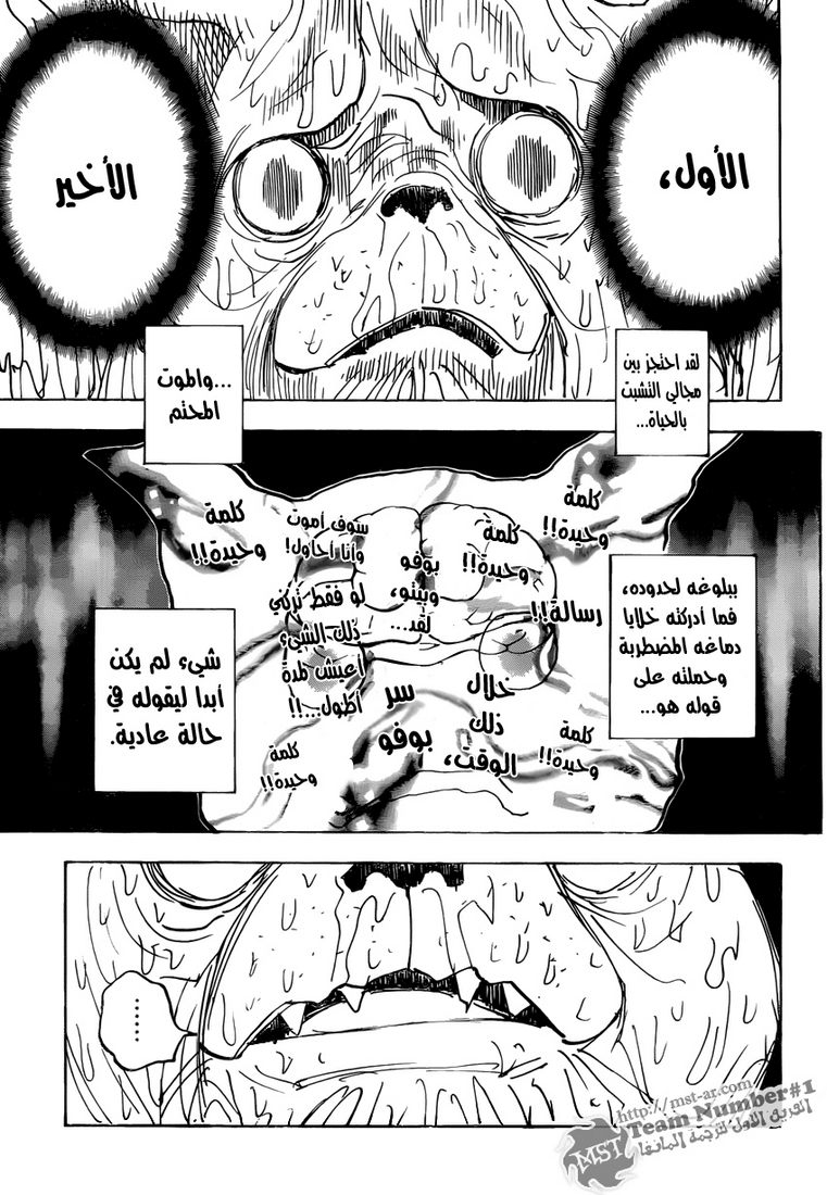 Hunter x Hunter: Chapter 313 - Page 4