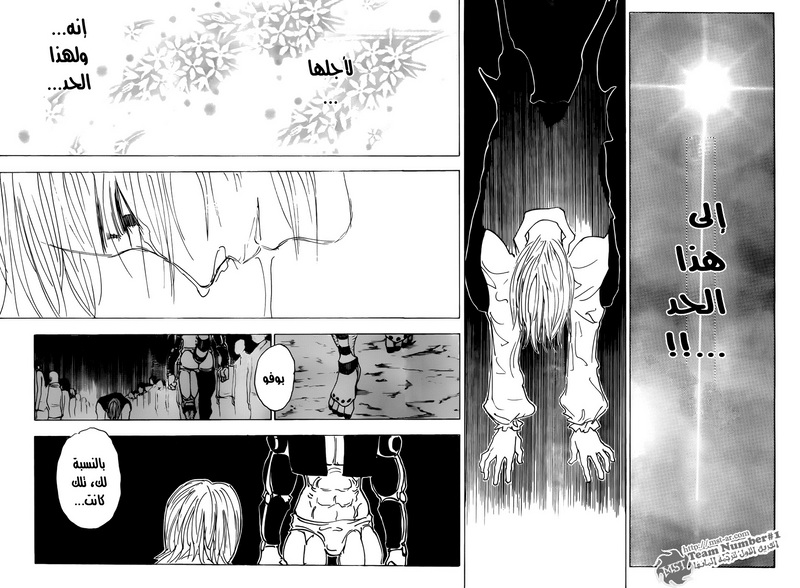 Hunter x Hunter: Chapter 313 - Page 8