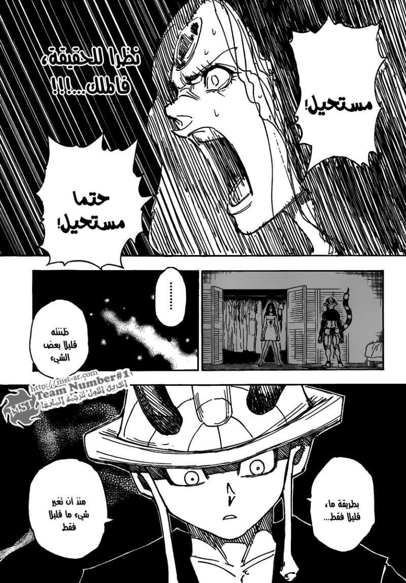 Hunter x Hunter: Chapter 314 - Page 11