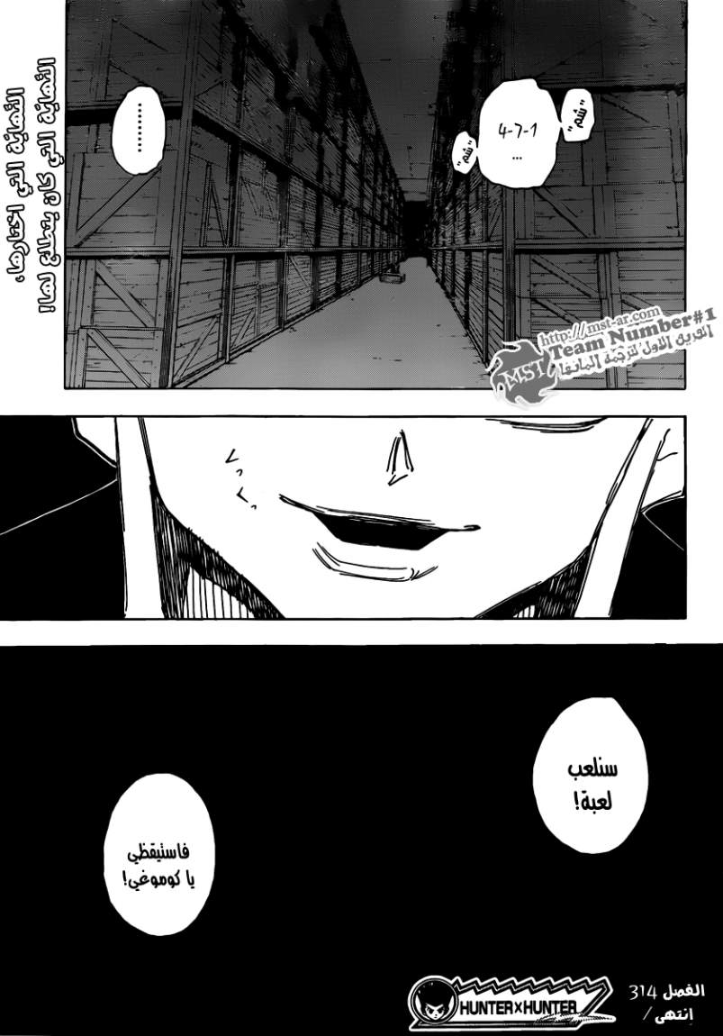 Hunter x Hunter: Chapter 314 - Page 19