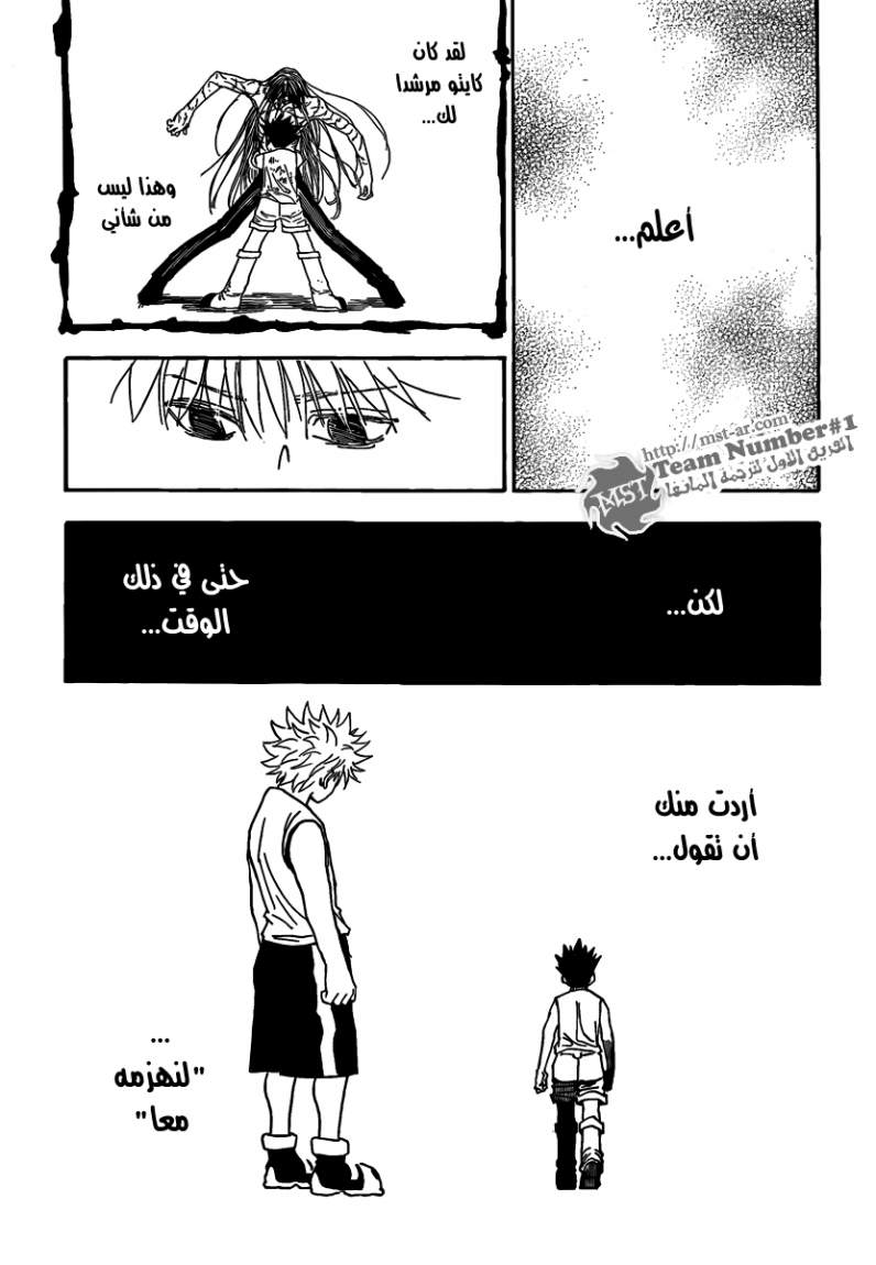 Hunter x Hunter: Chapter 316 - Page 11