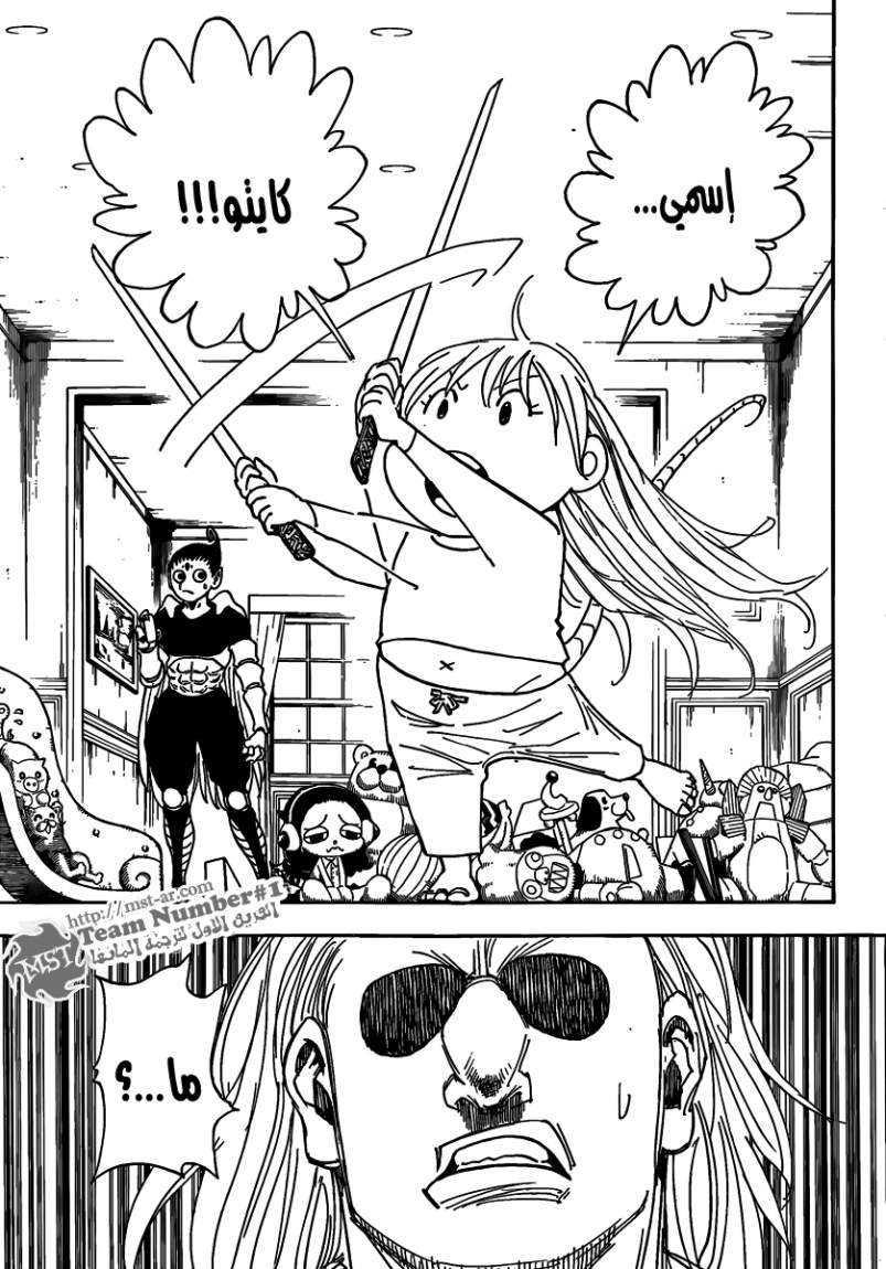 Hunter x Hunter: Chapter 316 - Page 18