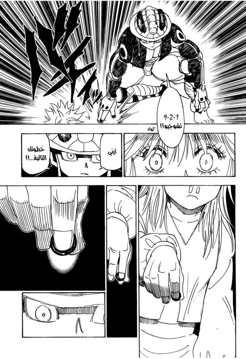 Hunter x Hunter: Chapter 317 - Page 11