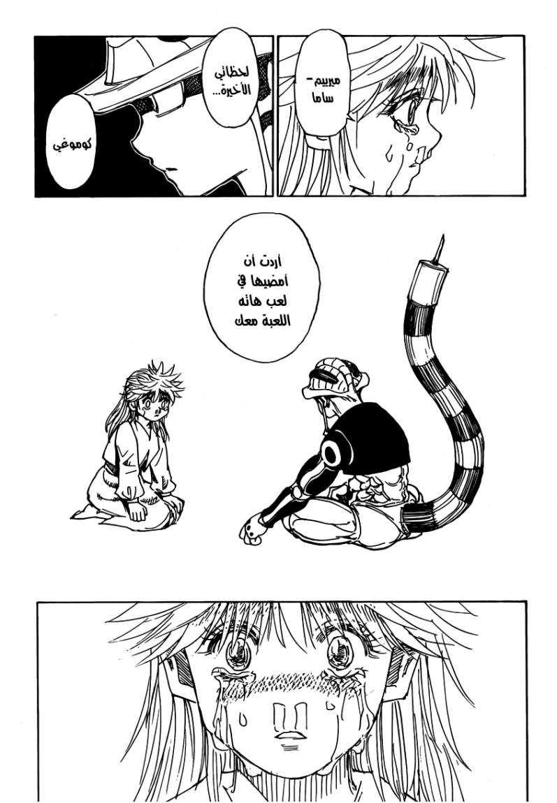 Hunter x Hunter: Chapter 317 - Page 17