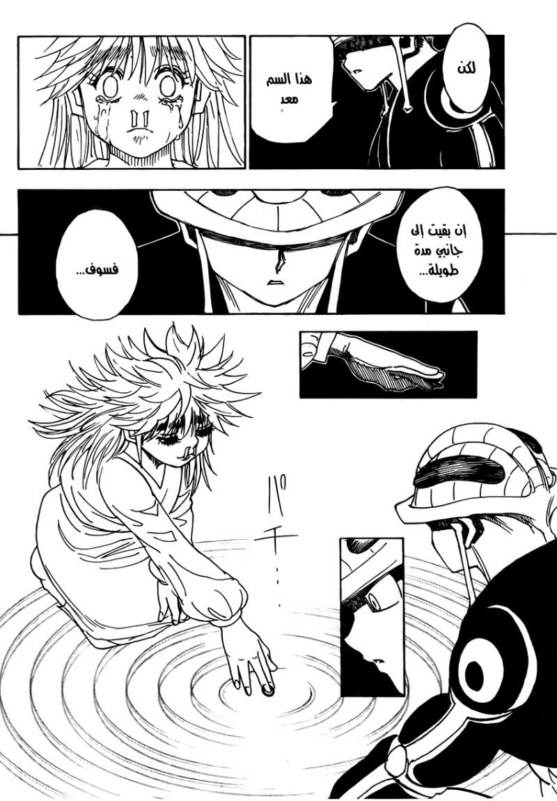 Hunter x Hunter: Chapter 317 - Page 18