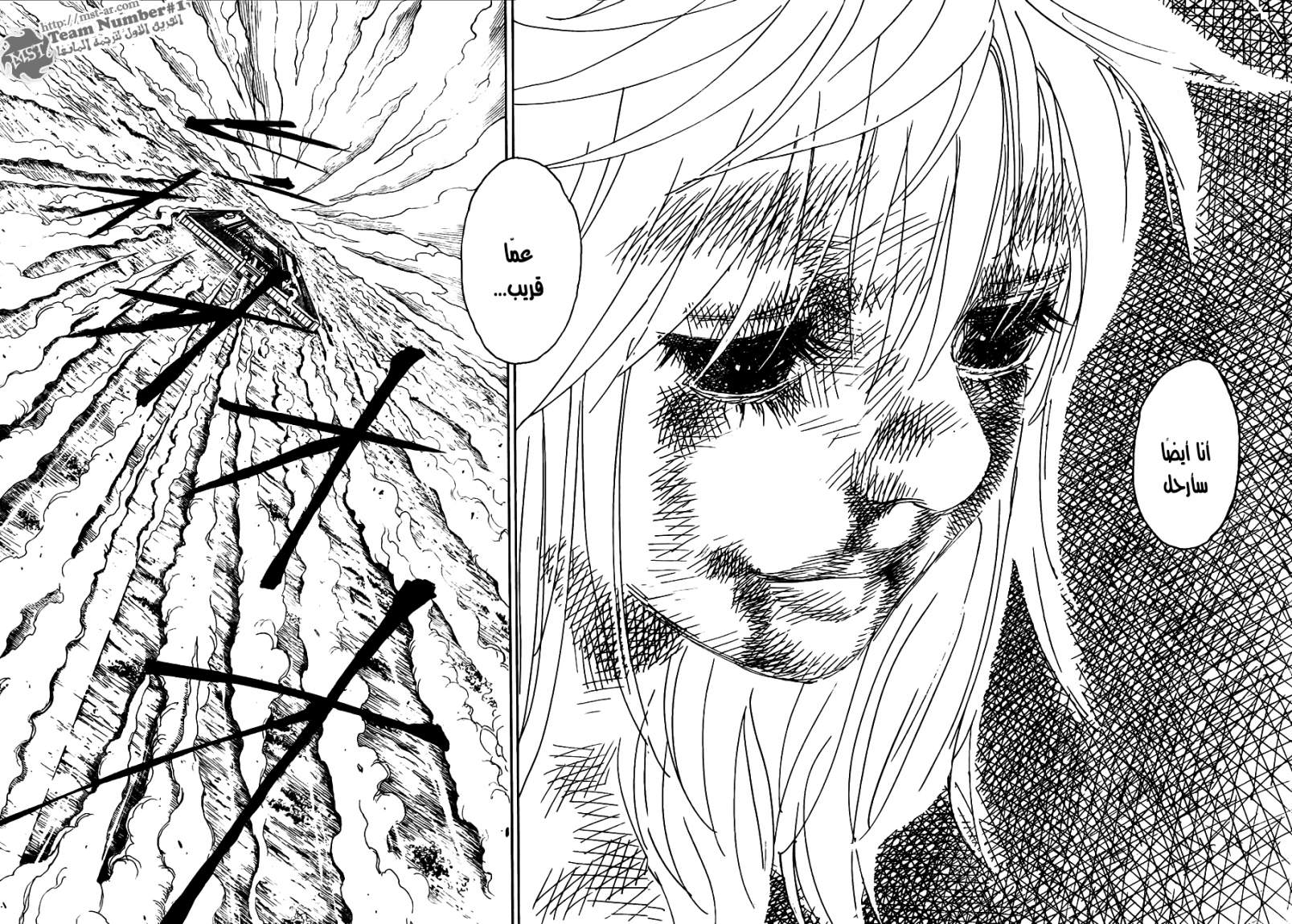 Hunter x Hunter: Chapter 318 - Page 11