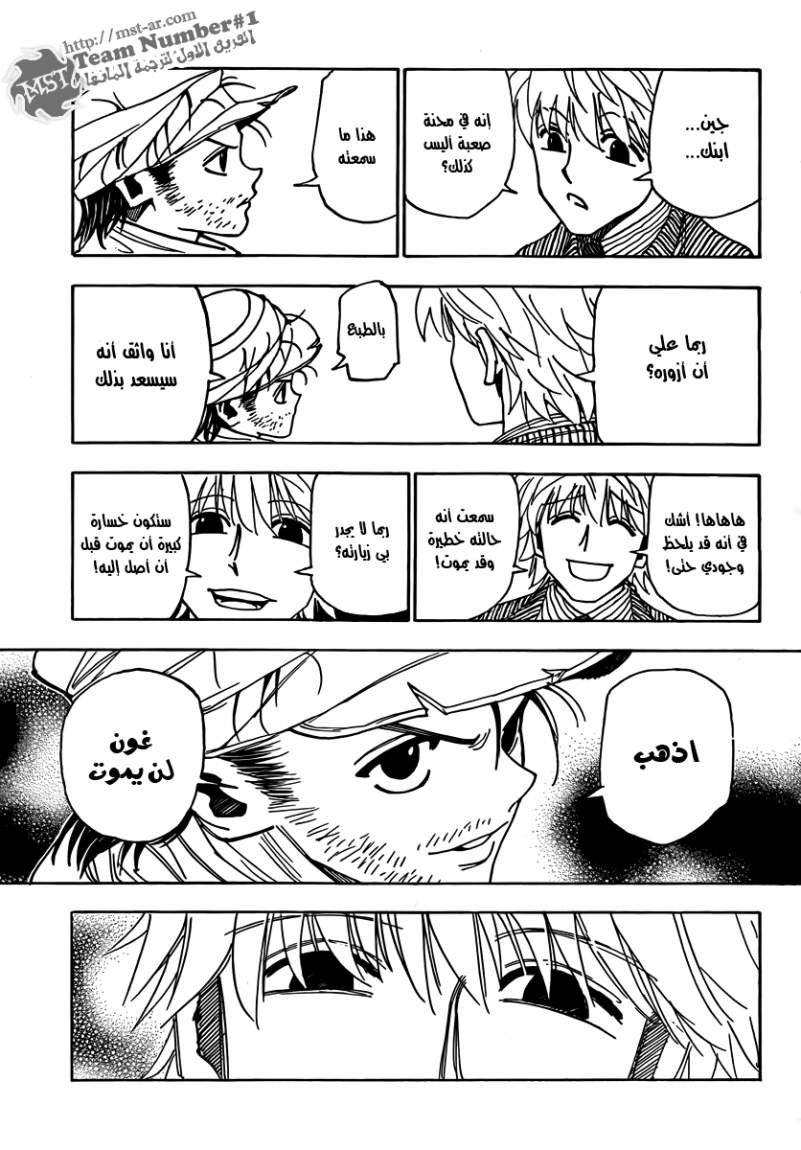 Hunter x Hunter: Chapter 319 - Page 14