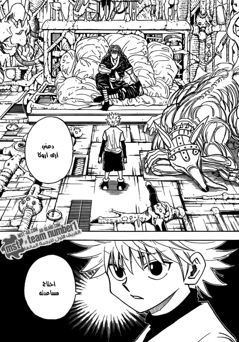Hunter x Hunter: Chapter 321 - Page 13