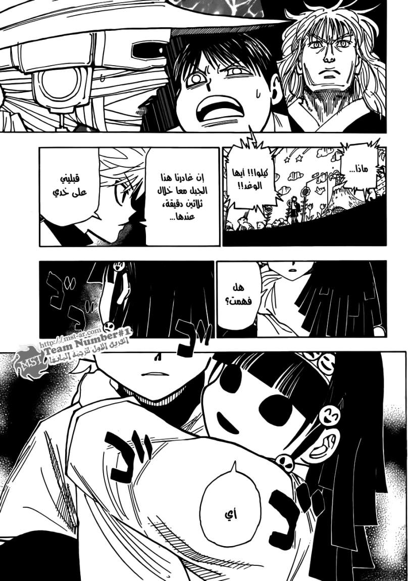 Hunter x Hunter: Chapter 324 - Page 8