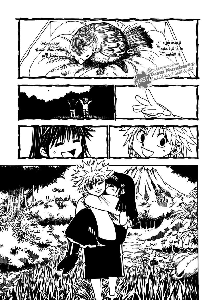 Hunter x Hunter: Chapter 324 - Page 10