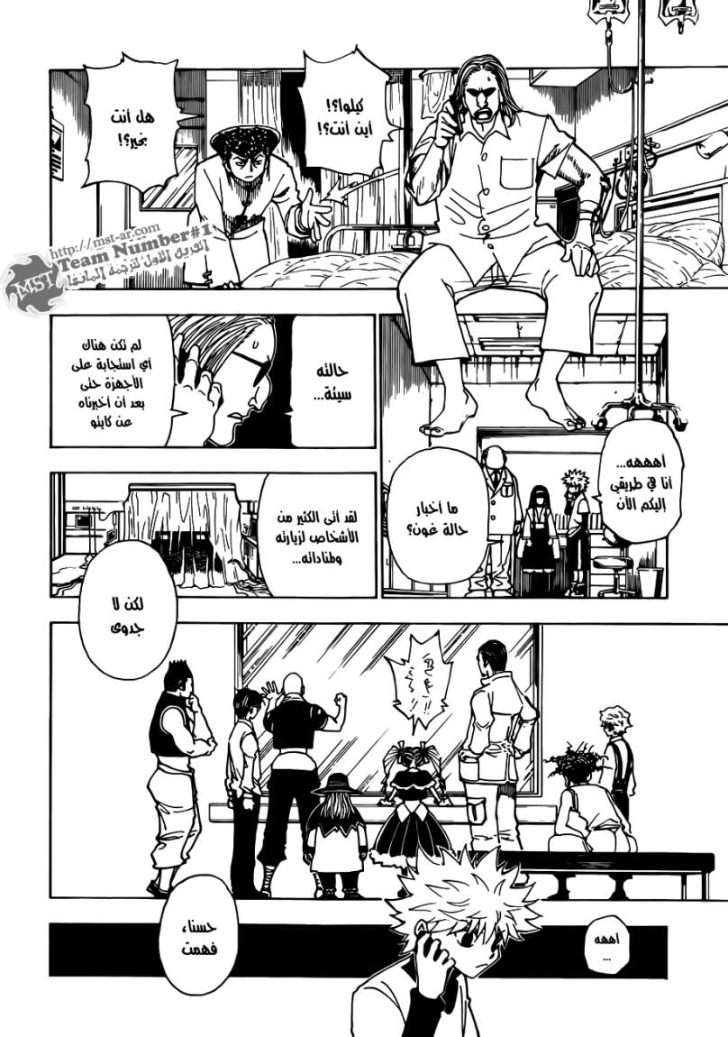 Hunter x Hunter: Chapter 324 - Page 11