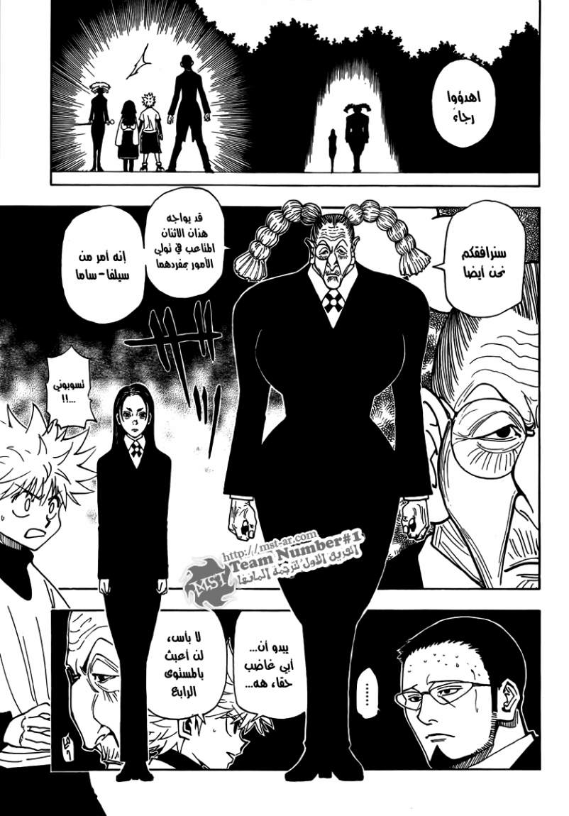 Hunter x Hunter: Chapter 324 - Page 16