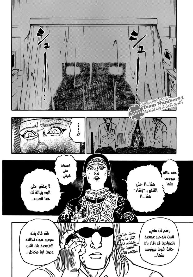Hunter x Hunter: Chapter 325 - Page 9