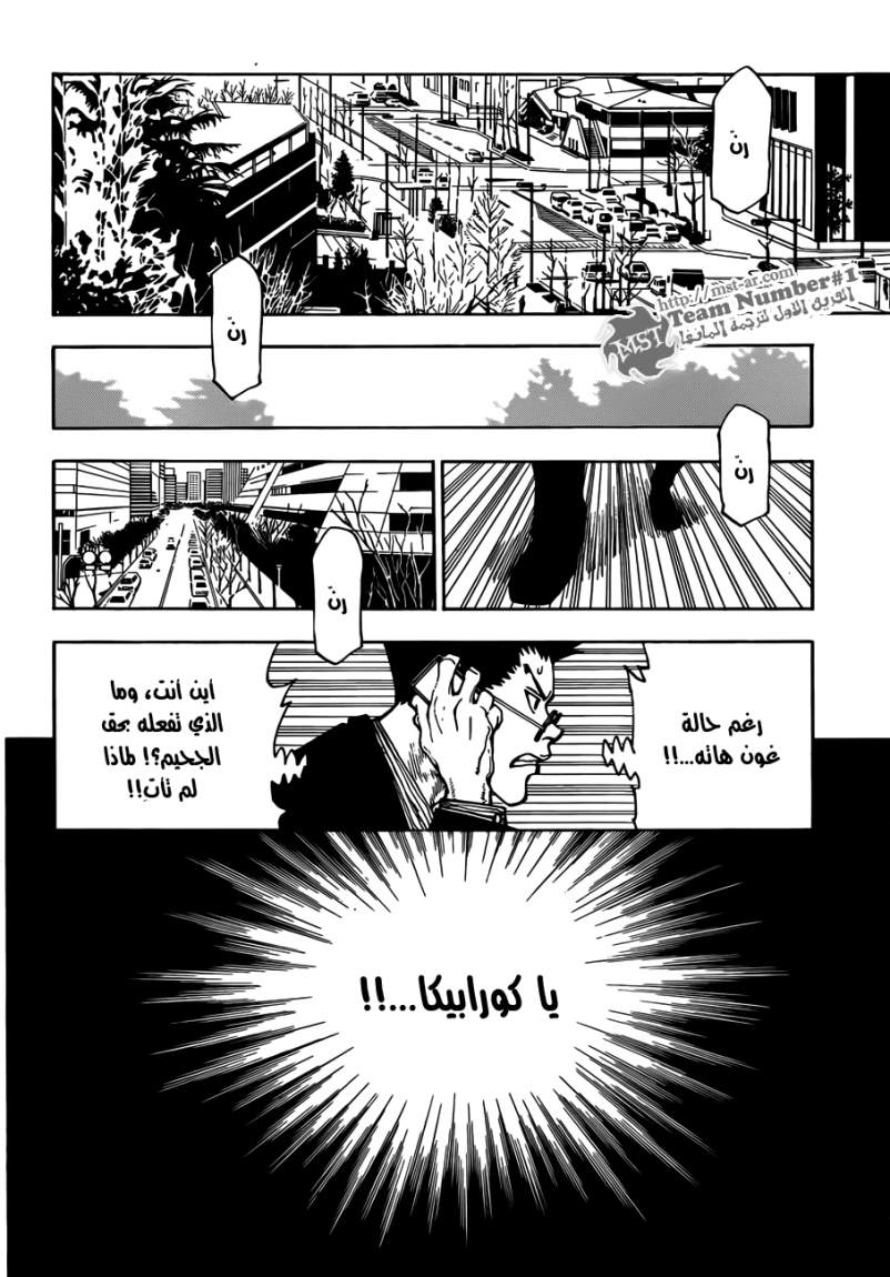 Hunter x Hunter: Chapter 325 - Page 11