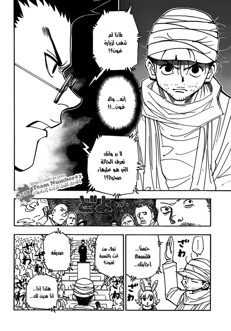 Hunter x Hunter: Chapter 325 - Page 14