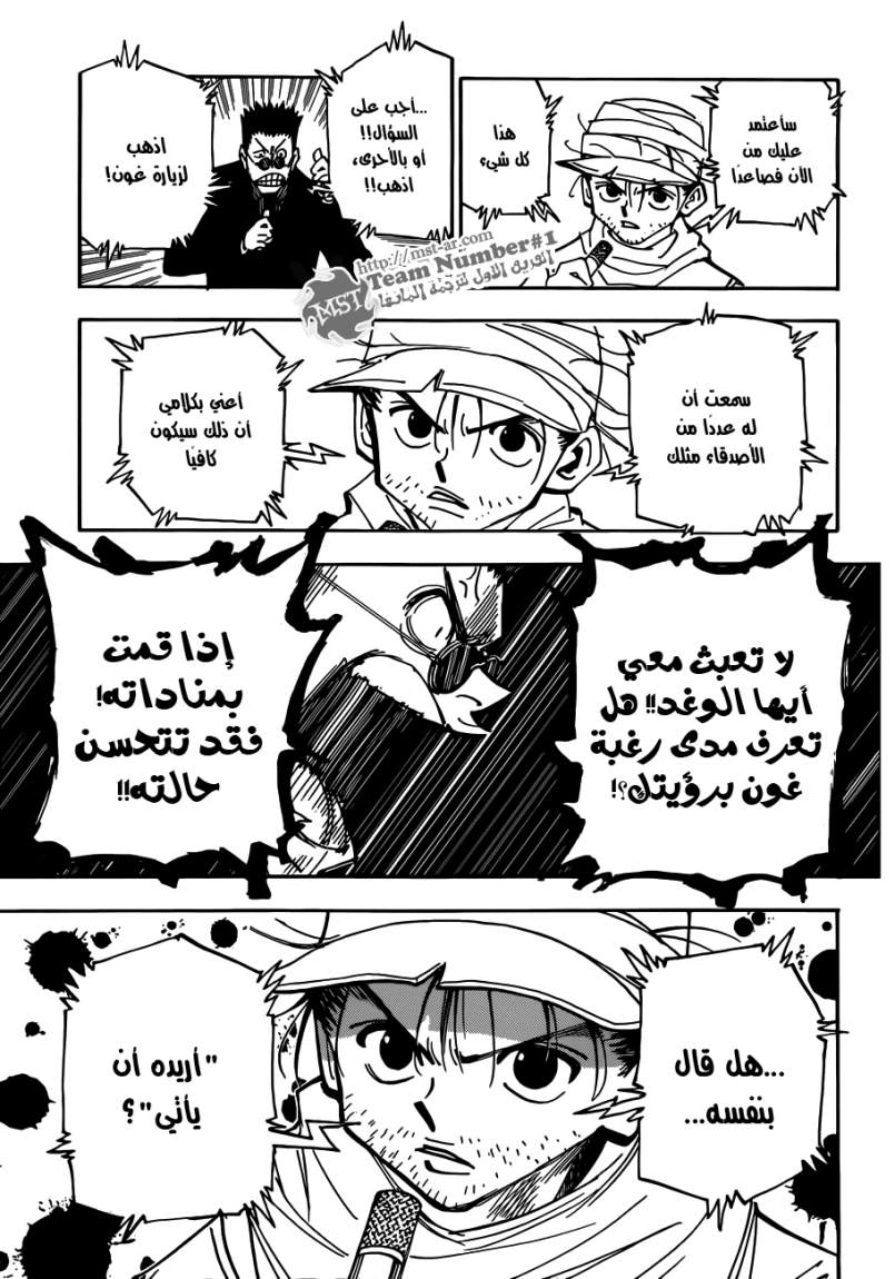 Hunter x Hunter: Chapter 325 - Page 15