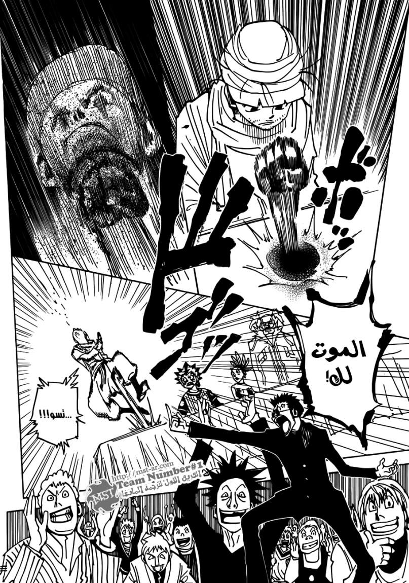 Hunter x Hunter: Chapter 325 - Page 17