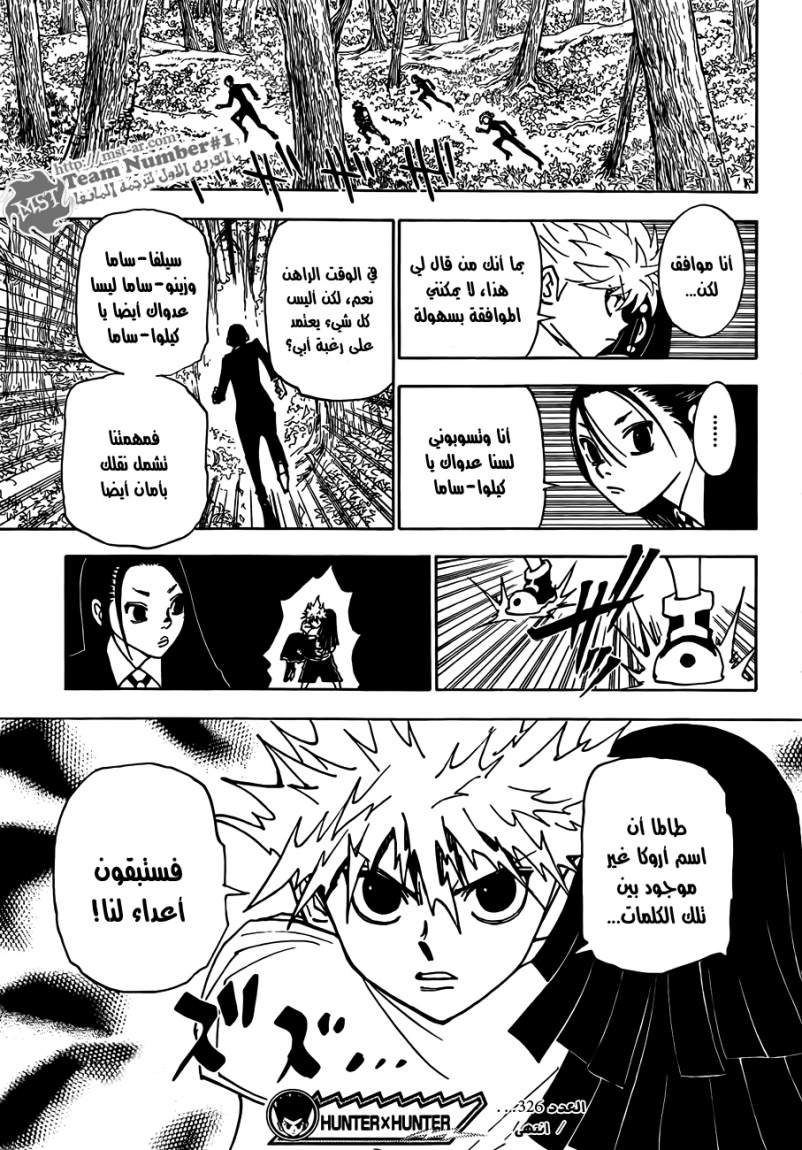 Hunter x Hunter: Chapter 326 - Page 20