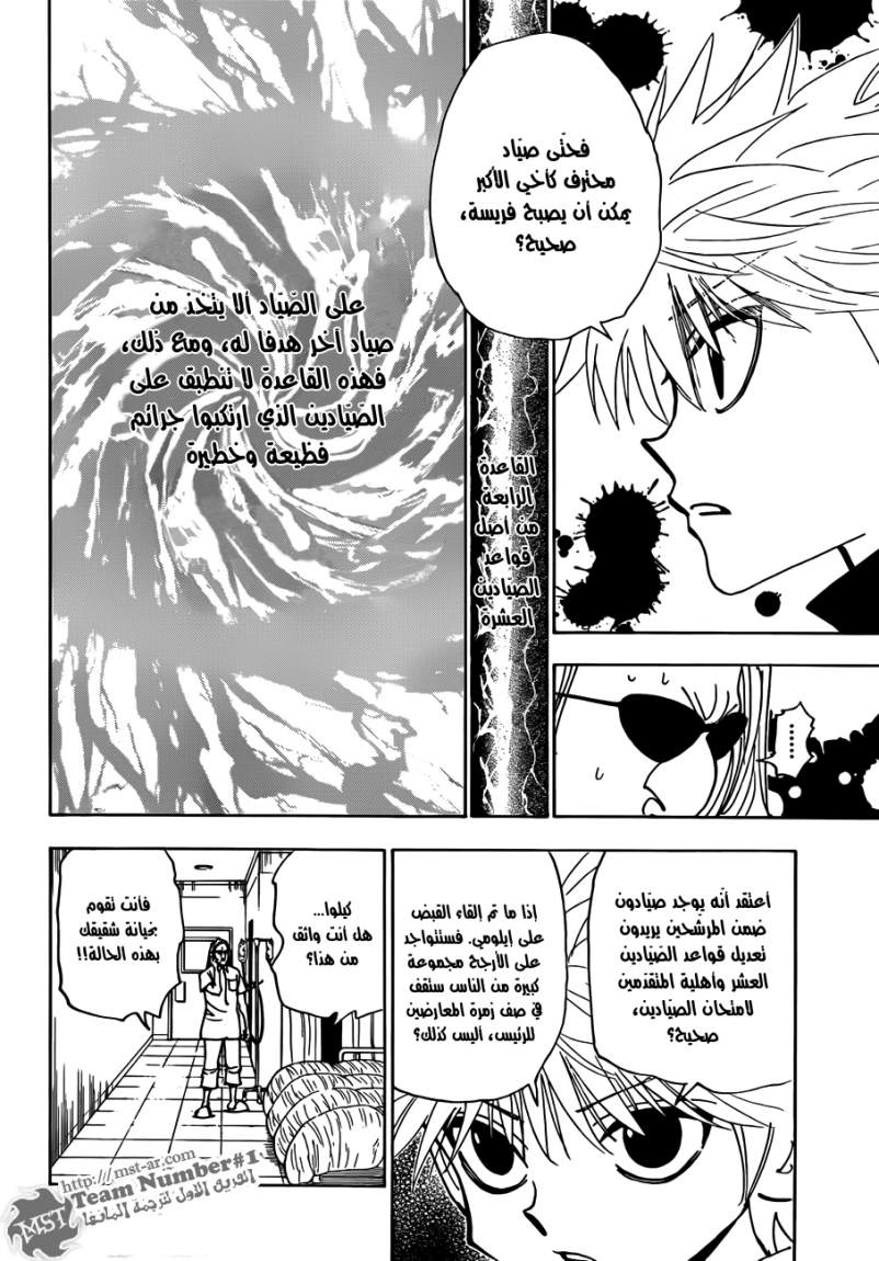 Hunter x Hunter: Chapter 328 - Page 17