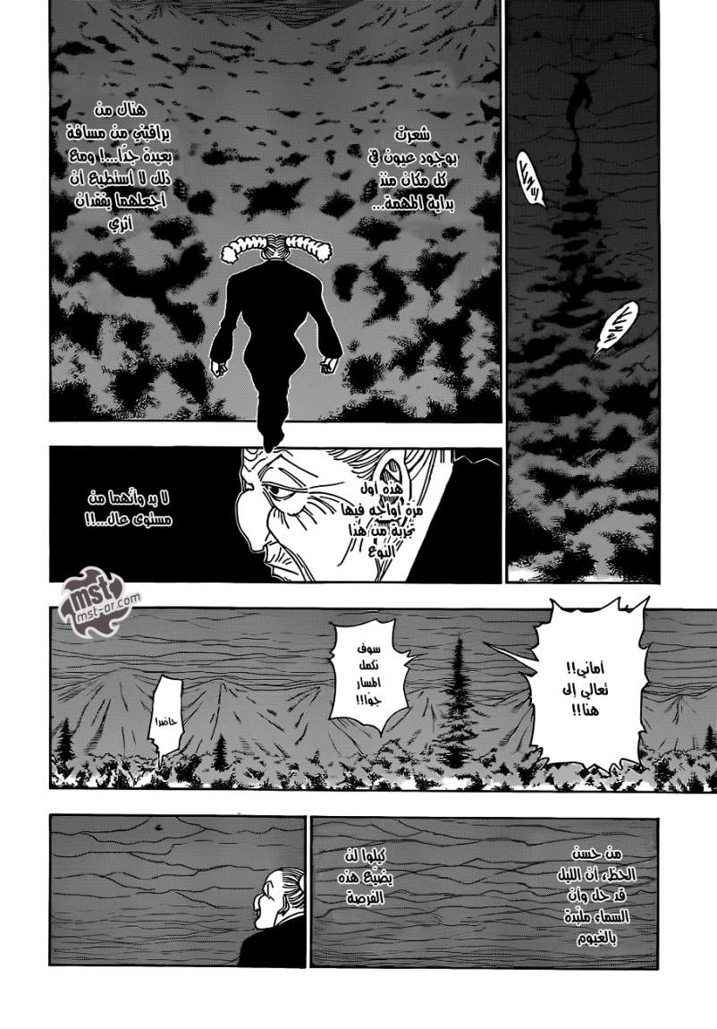 Hunter x Hunter: Chapter 329 - Page 9