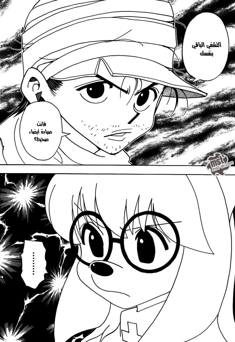 Hunter x Hunter: Chapter 331 - Page 11