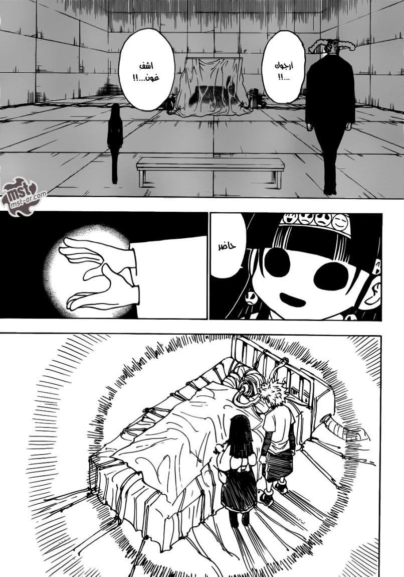 Hunter x Hunter: Chapter 333 - Page 13