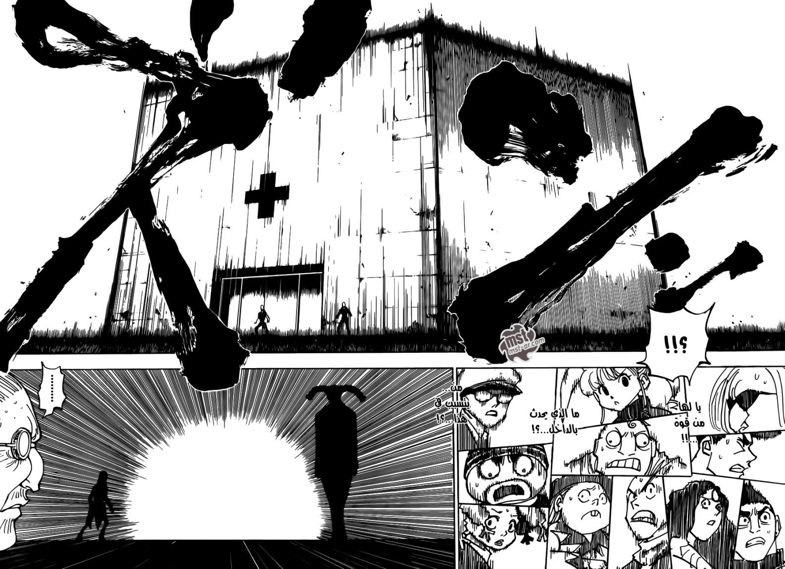 Hunter x Hunter: Chapter 333 - Page 14