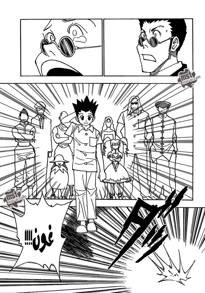 Hunter x Hunter: Chapter 334 - Page 11