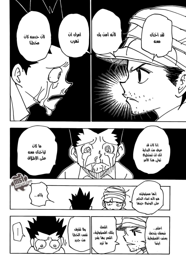 Hunter x Hunter: Chapter 335 - Page 5