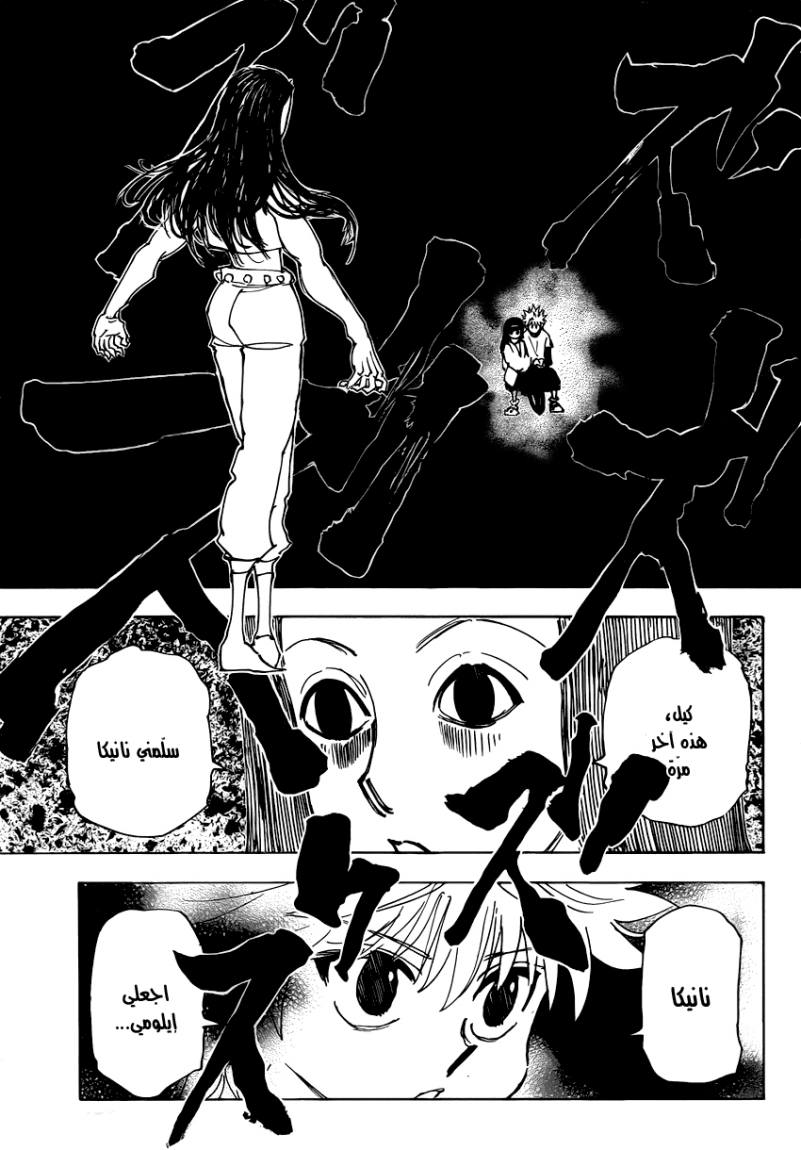 Hunter x Hunter: Chapter 336 - Page 8