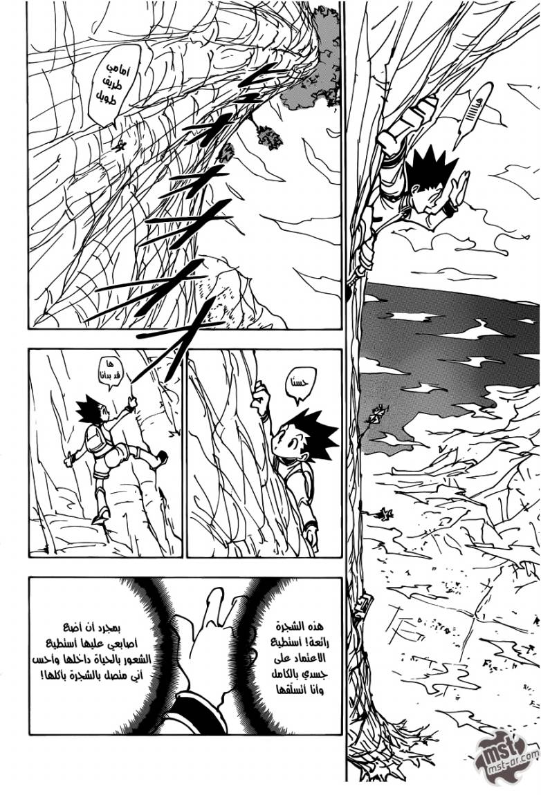 Hunter x Hunter: Chapter 338 - Page 9