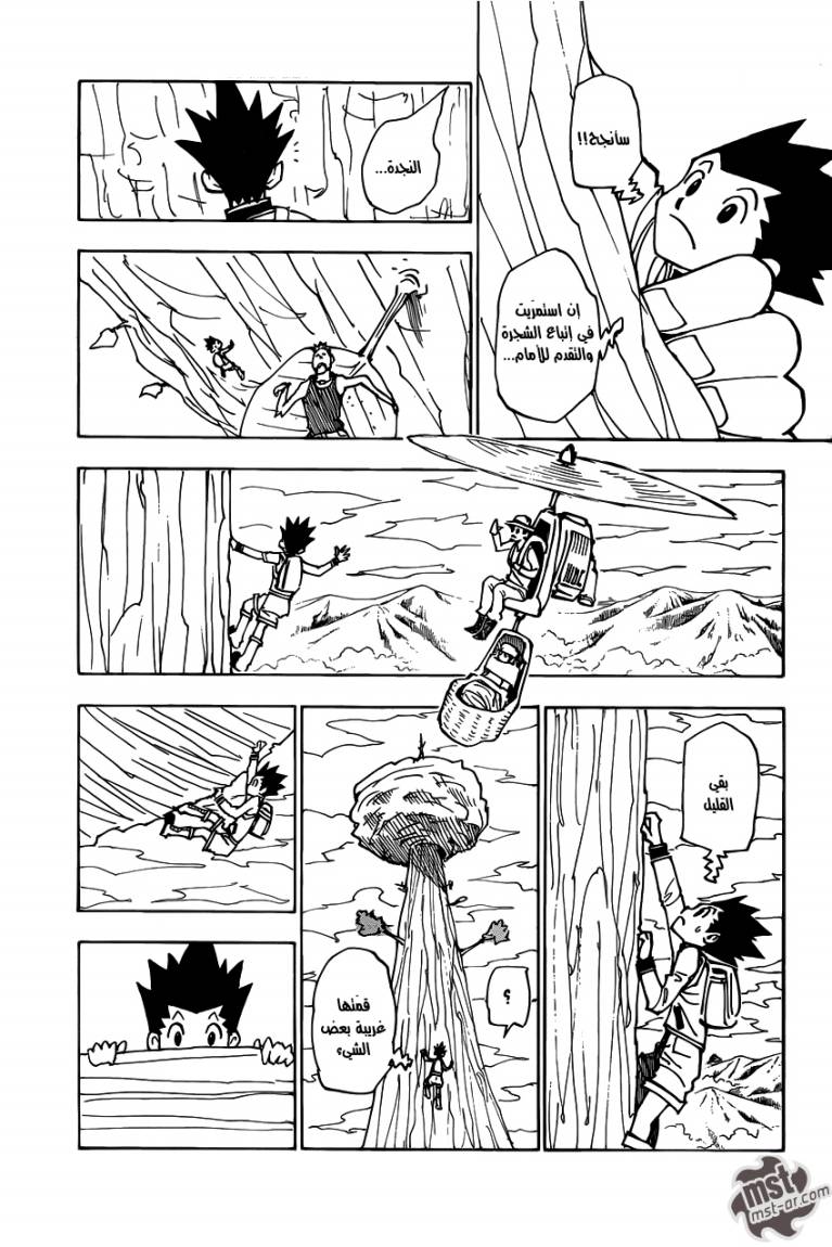 Hunter x Hunter: Chapter 338 - Page 10