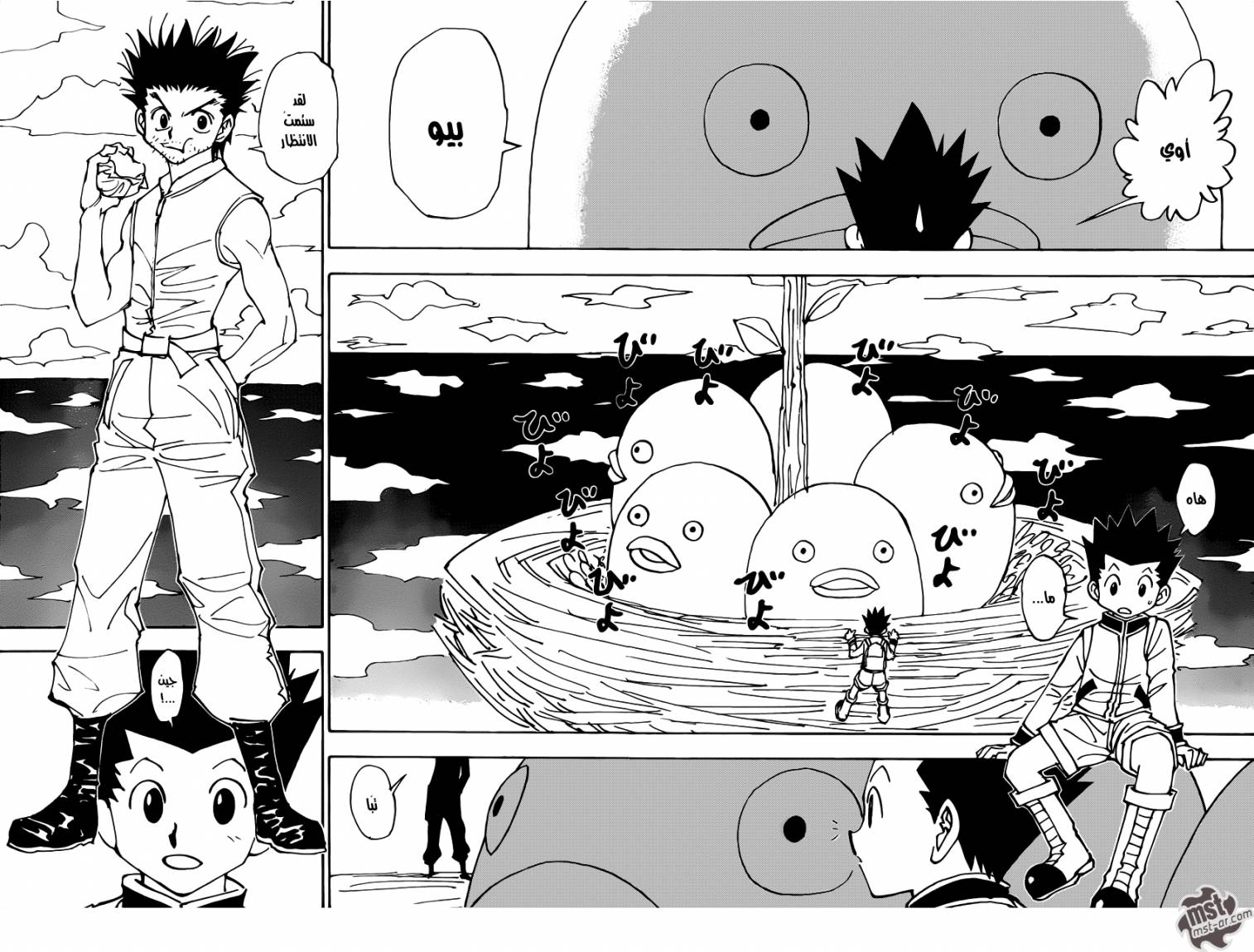 Hunter x Hunter: Chapter 338 - Page 11