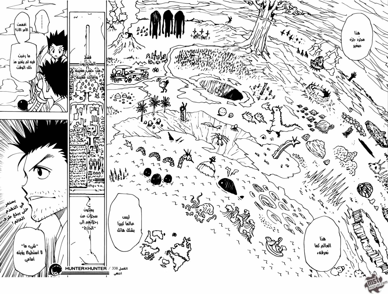 Hunter x Hunter: Chapter 338 - Page 18