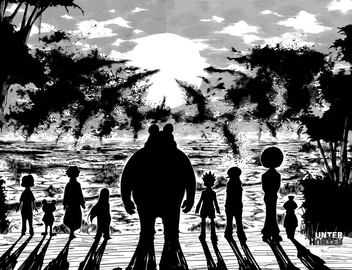 Hunter x Hunter: Chapter 339 - Page 10