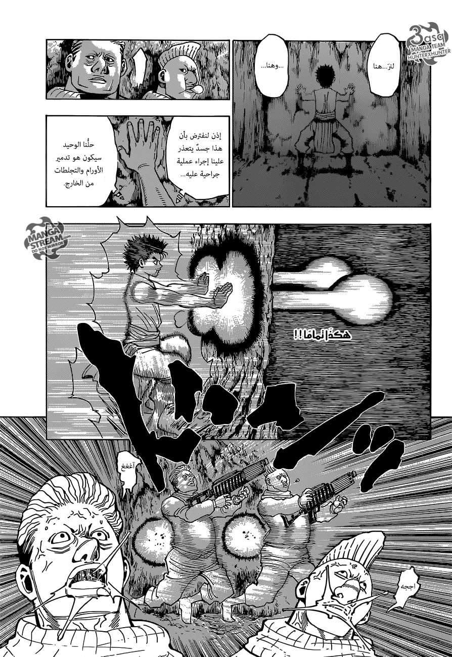 Hunter x Hunter: Chapter 347 - Page 9