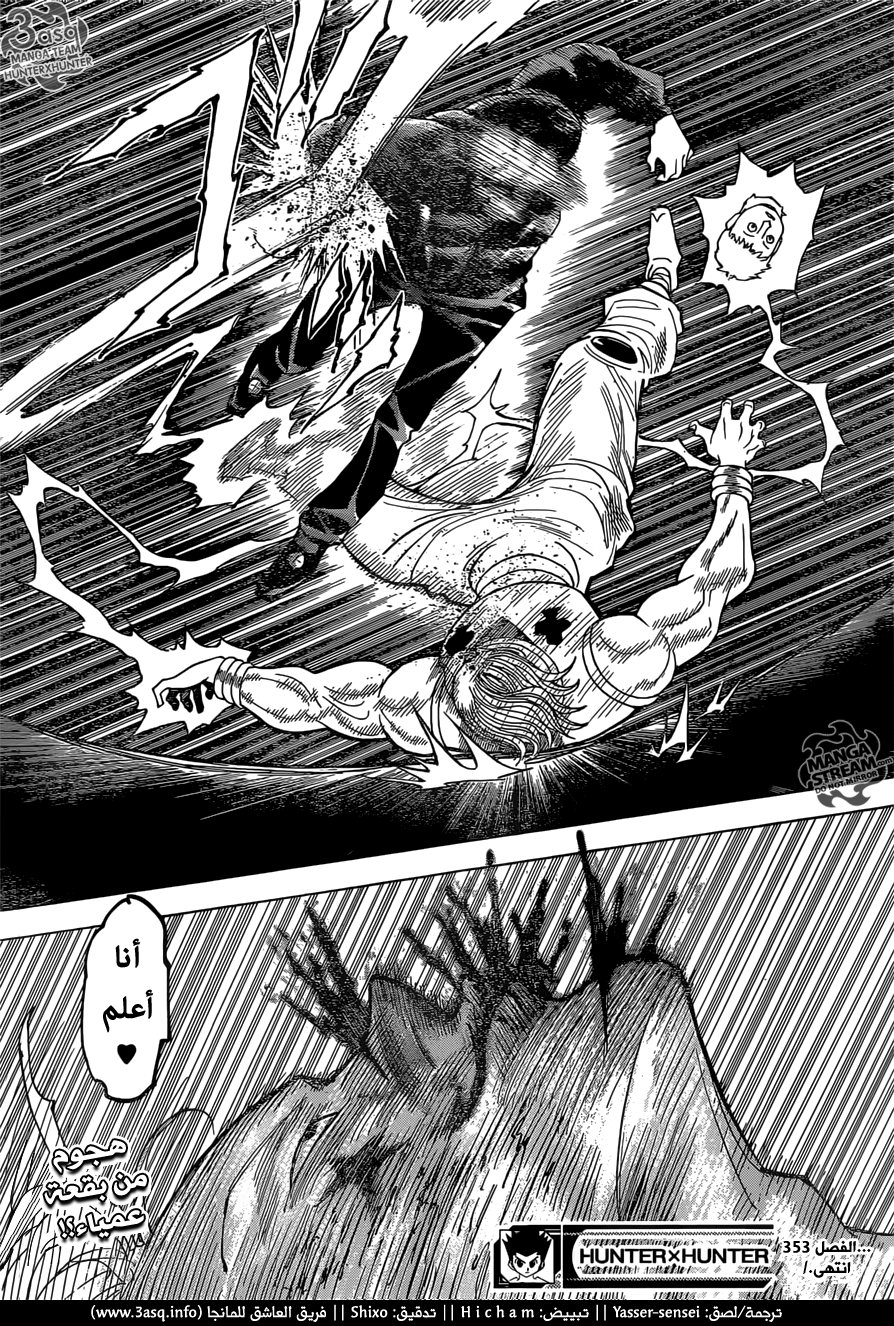 Hunter x Hunter: Chapter 353 - Page 19