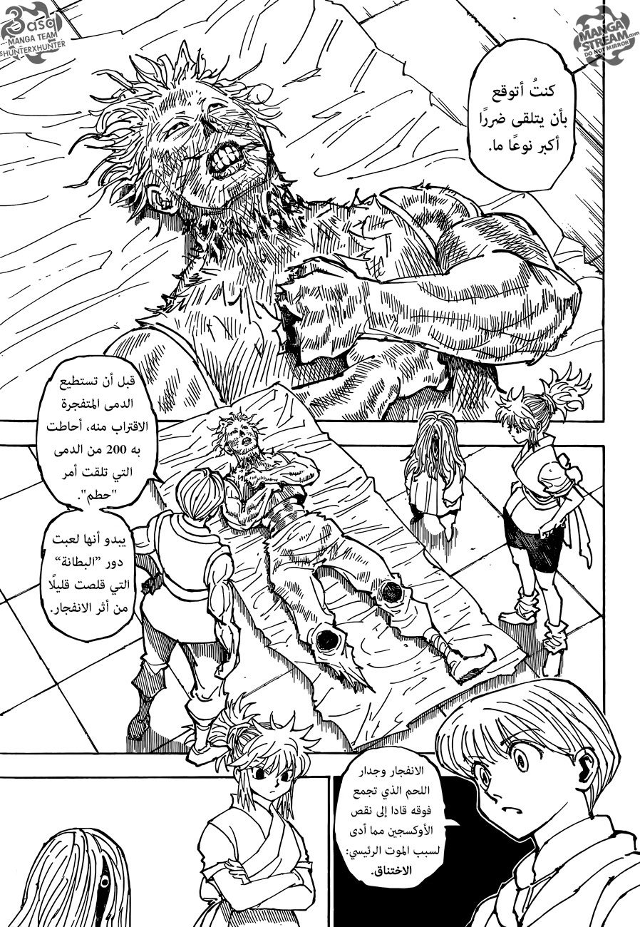 Hunter x Hunter: Chapter 357 - Page 3