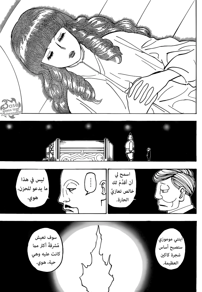 Hunter x Hunter: Chapter 371 - Page 18