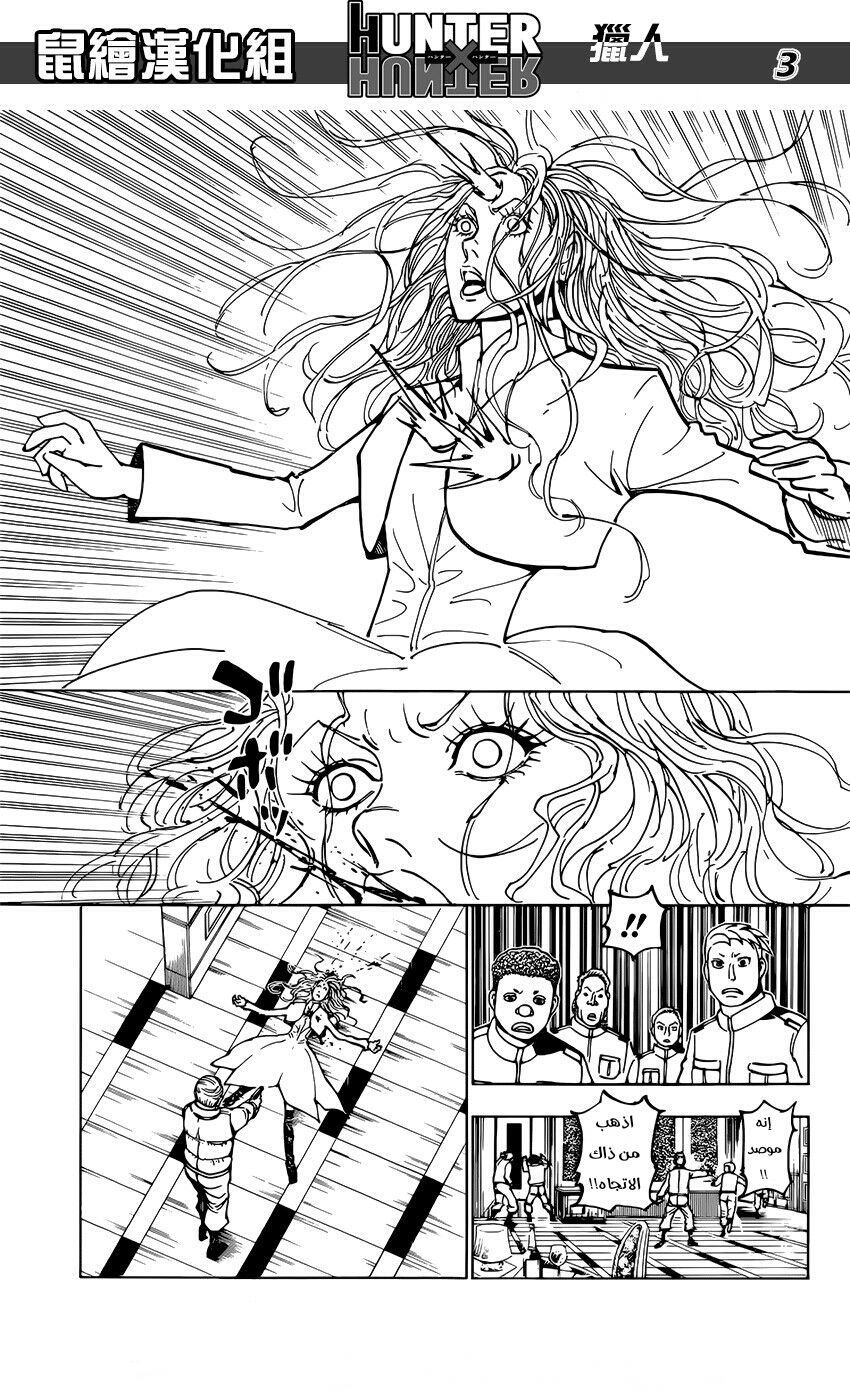 Hunter x Hunter: Chapter 373 - Page 3