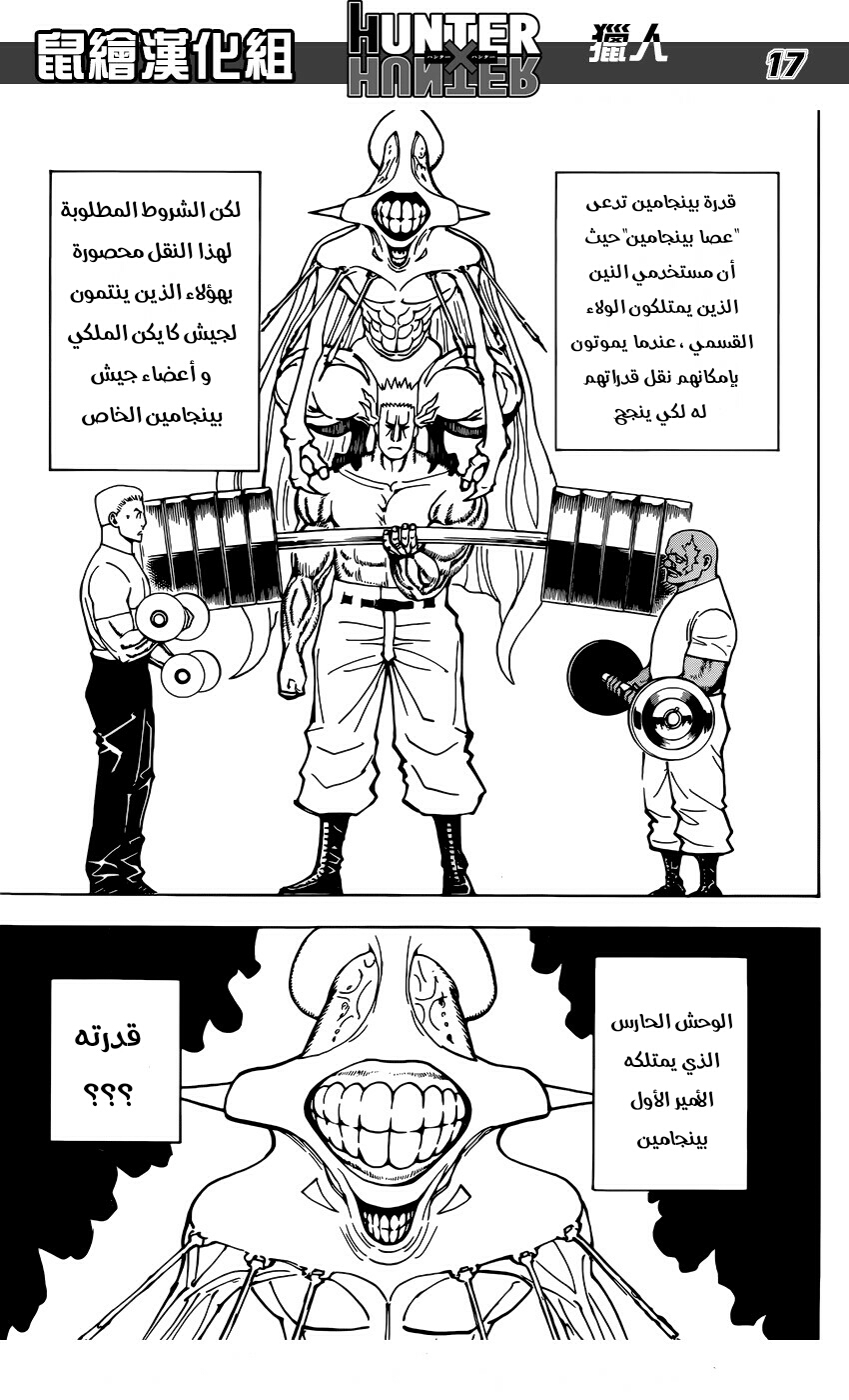 Hunter x Hunter: Chapter 373 - Page 17