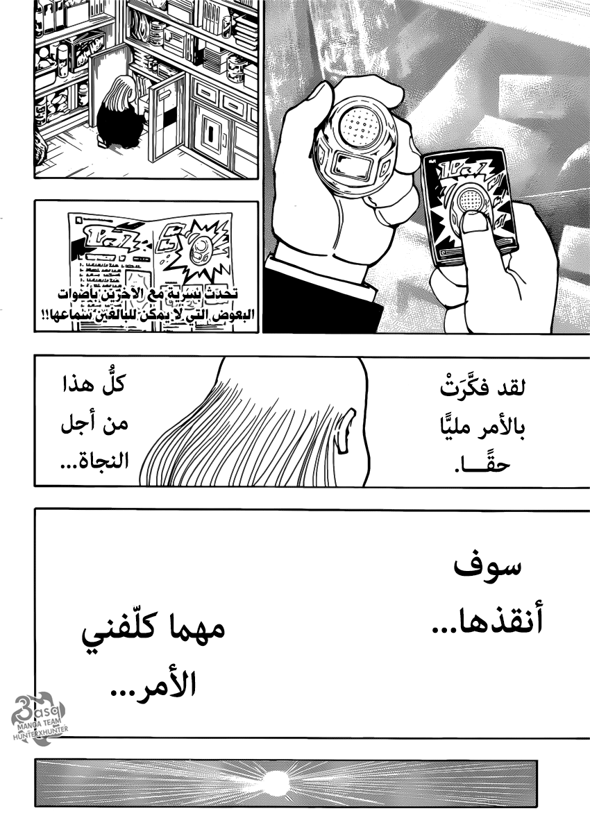 Hunter x Hunter: Chapter 376 - Page 12