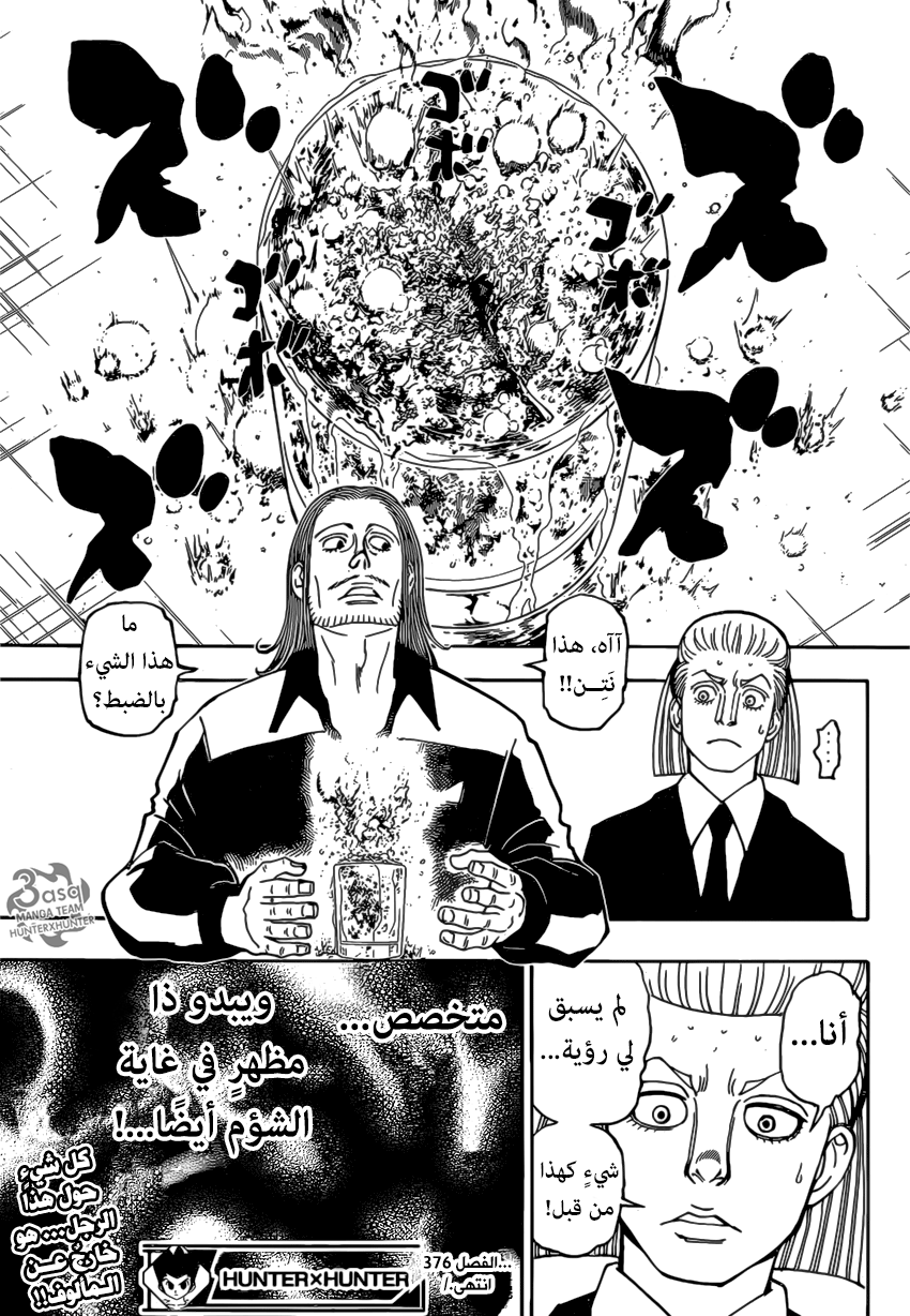 Hunter x Hunter: Chapter 376 - Page 19