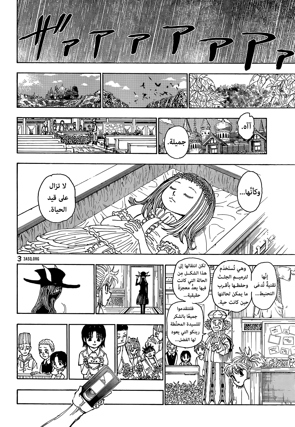 Hunter x Hunter: Chapter 397 - Page 12