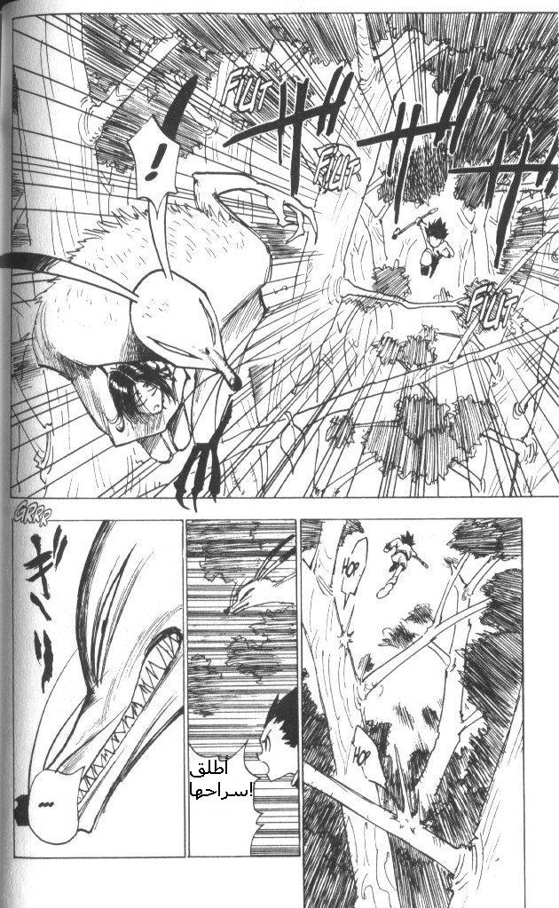 Hunter x Hunter: Chapter 4 - Page 9