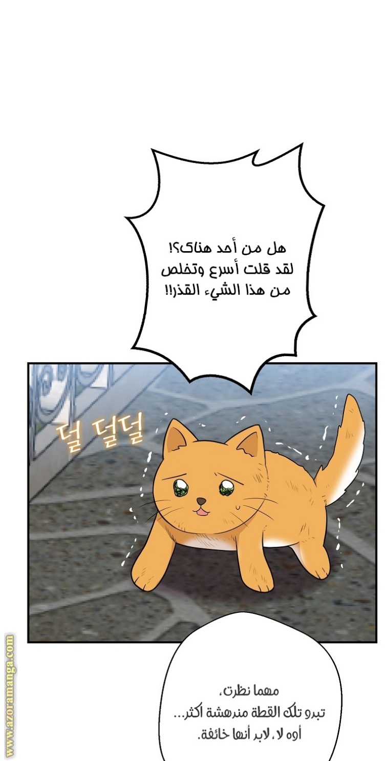 I Became the Mother of the Villain: Chapter 67 - Page 17