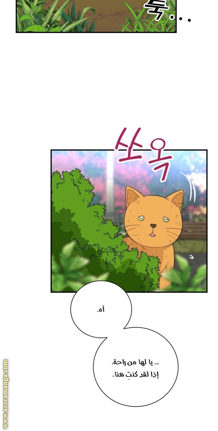 I Became the Mother of the Villain: Chapter 67 - Page 31