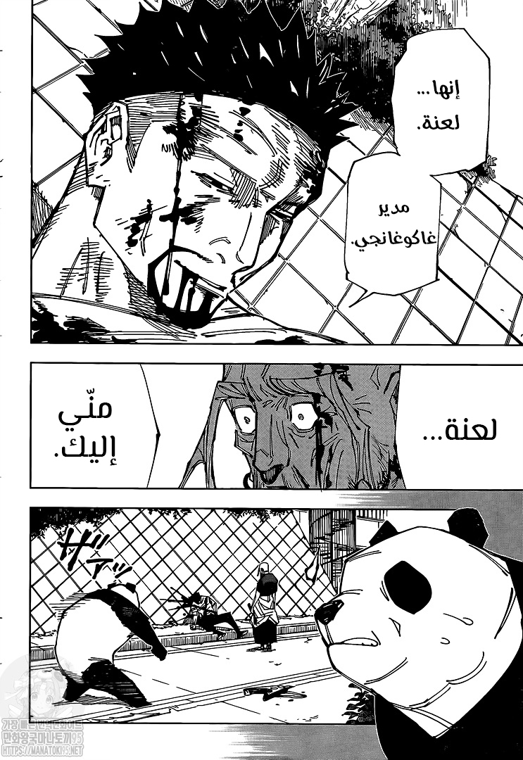 Jujutsu Kaisen: Chapter 147 - Page 17